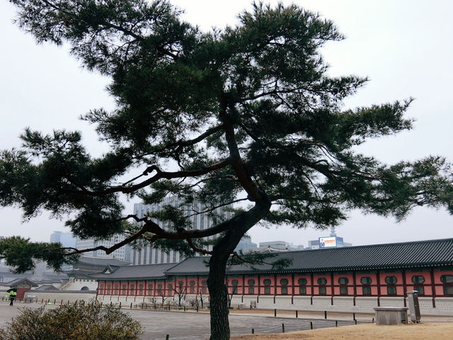 探訪景福宮：韓國的歷史瑰寶 🏯🇰🇷