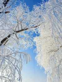 雪域仙境：漫步阿爾山白狼峰的冬日奇遇