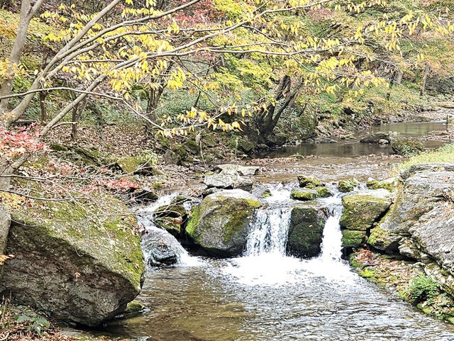 흐르는 물이 깨끗한 곳