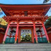 【京都】玉の輿神社⛩️
