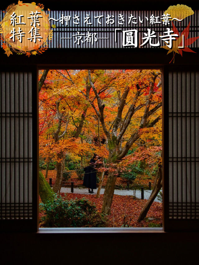 【紅葉特集】予約情報付き‼️全国で珍しい額縁に入った紅葉が見られる絶景スポット🍁 