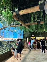 XPark Aquarium ใกล้สนามบินเถาหยวน ไต้หวัน