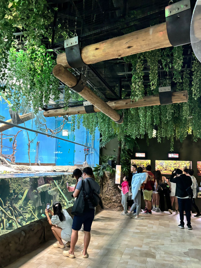 XPark Aquarium ใกล้สนามบินเถาหยวน ไต้หวัน