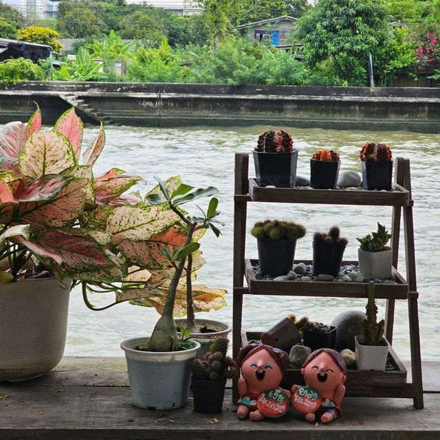 สัปปายะ 2465 คาเฟ่
