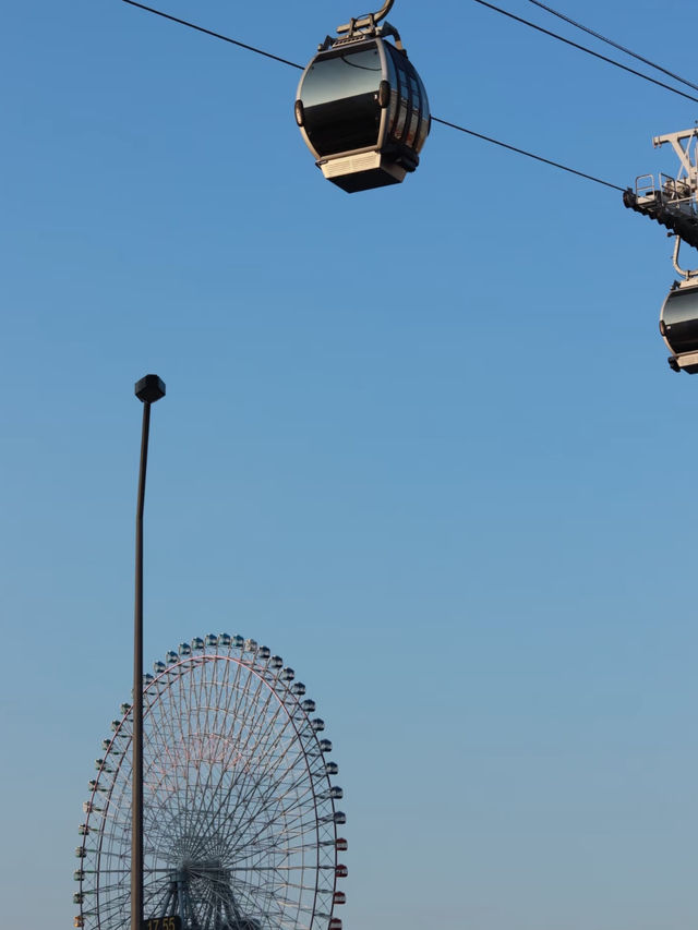 Enjoy Yokohama Cosmos world in japan 🇯🇵 