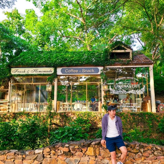 The Scenery Vintage Farm 🐑✨