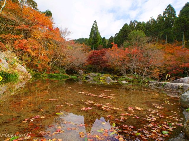 【佐賀県】息を呑む逆さ紅葉のリフレクション！環境芸術の森