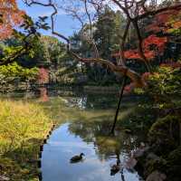 【京都紅葉】京都旅ゆったり紅葉狩りはここ！平安神宮神苑