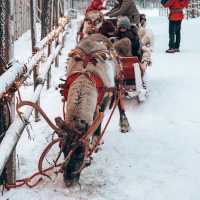 🎄 A CHRISTMAS IN LAPLAND, FINLAND