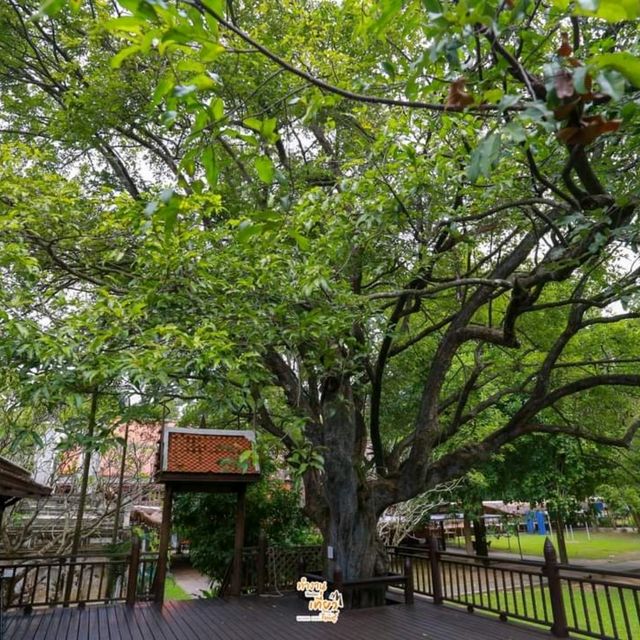 วัดขนอนหนังใหญ่ จ.ราชบุรี 