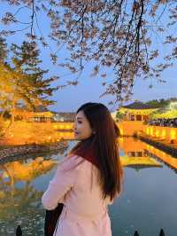 Twilight Magic at Donggung Palace and Wolji Pond