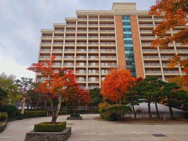 A mighty foliage scene at Sono Moon Danyang
