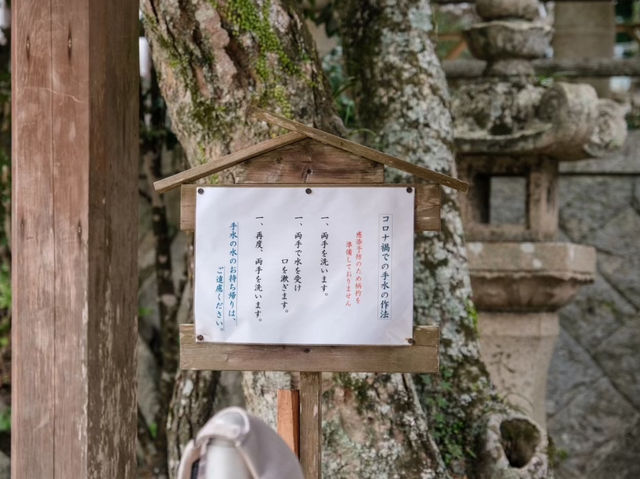 志賀島神社行程全攻略🥰超推薦❤️