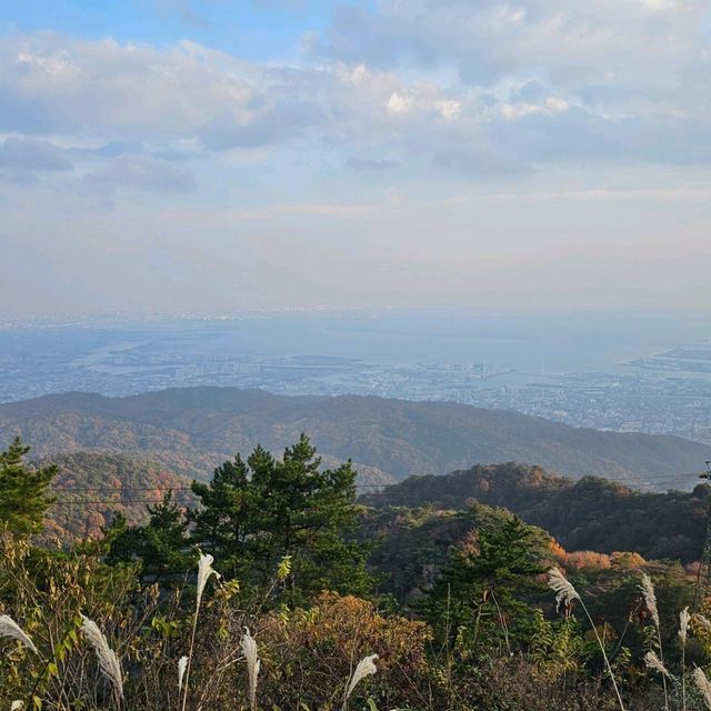 〔六甲花園露台 〕免費暢遊的歐風建築與絕佳景觀