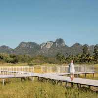 Anacolly คาเฟ่ลพบุรี วิวเขาจีนแล