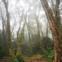 Mount Apo Natural Park