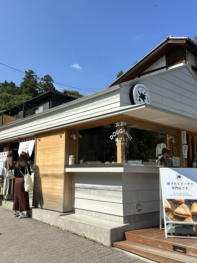 【東京近郊】高美山一日遊🌳玩盡纜車吊車🚡輕鬆登頂