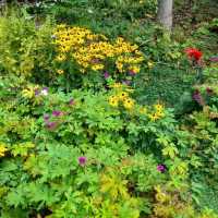 Boscombe Chine Gardens
