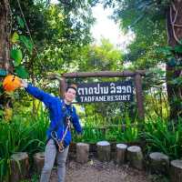ไปเล่น zipline ที่น้ำตกตาดฟาน ประเทศลาว
