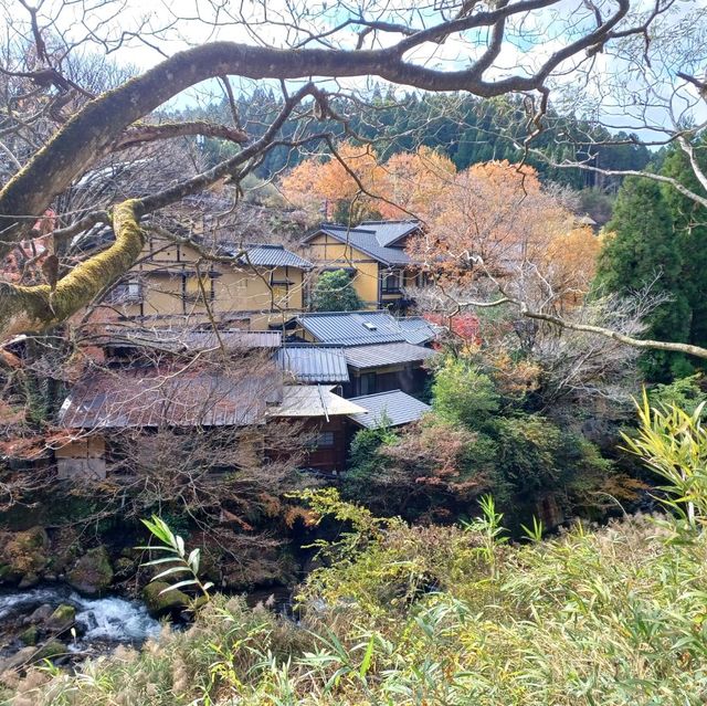 ♨️구마모토의 평온하고 고요한 자연속에 있는 온천마을 쿠로카와 온천~🏞
