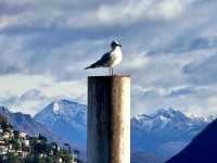 Stroll along the promenade of Lake Lugano in Switzerland