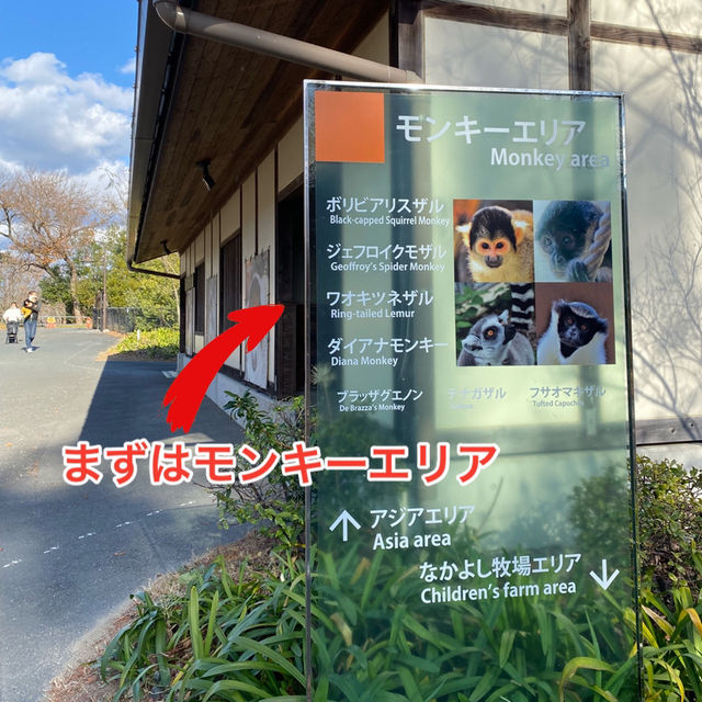 動物に癒されよう！のんほいパーク(豊橋総合動植物公園）