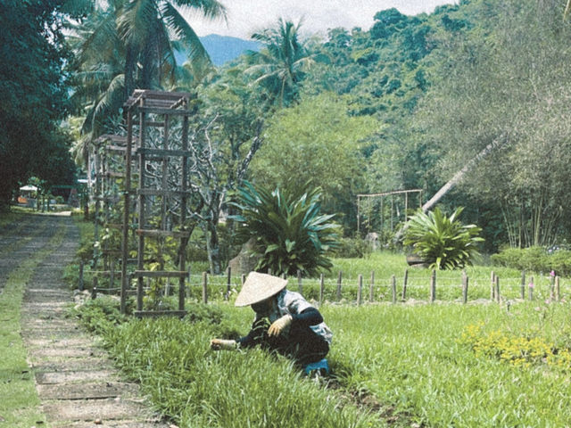 Adventure Awaits: Hiking to Ba Ho Waterfall in Nha Trang, Vietnam