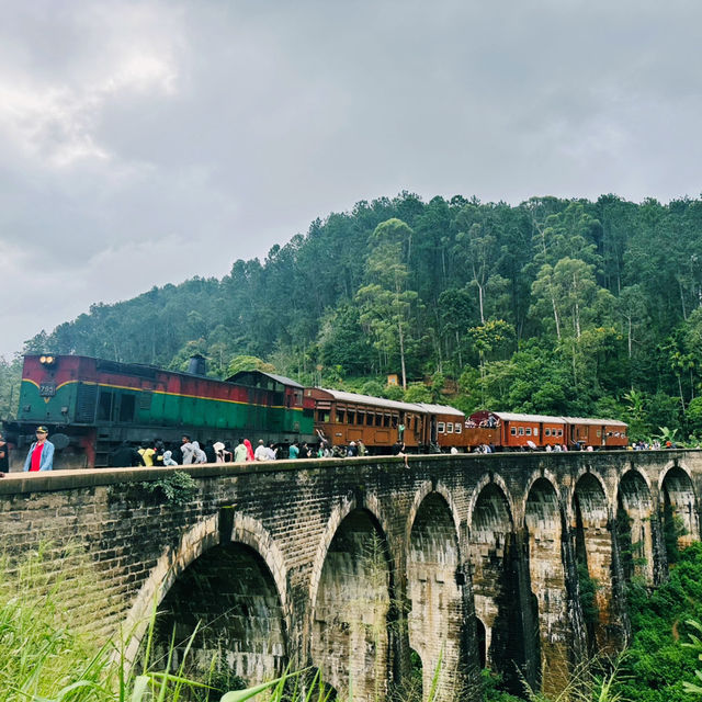 斯里蘭卡🇱🇰茶園火車