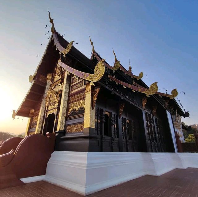 นั่งรถรางชมพืชสวนโลก หอคำหลวง สุดงดงาม