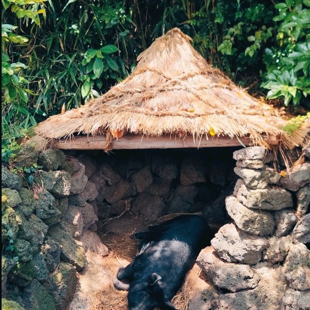 JEJU FOLK VILLAGE.