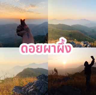 ผาผึ้ง