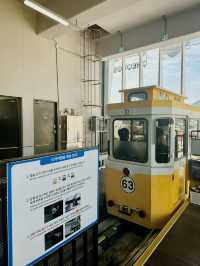 해운대에서 특별한 추억을 만들기! 🚂🌊