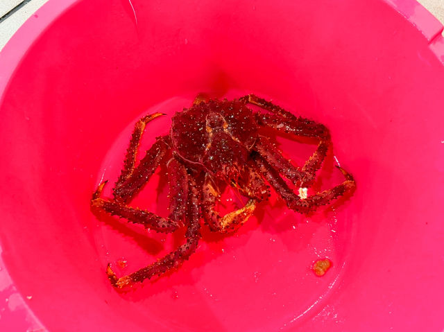 阿根廷-烏斯懷亞🇦🇷味道超讚一試再試的帝王巨蟹🦀