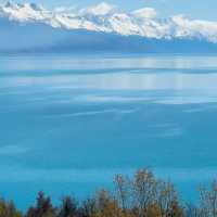 Lake Tekapo Magic: A Serene Day Surrounded by Lavender and Turquoise Waters!