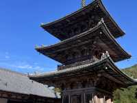 奈良県の壺阪寺