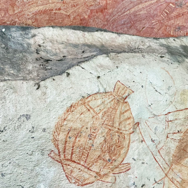 A Wild Adventure Awaits: My Unforgettable Day at Kakadu National Park !!