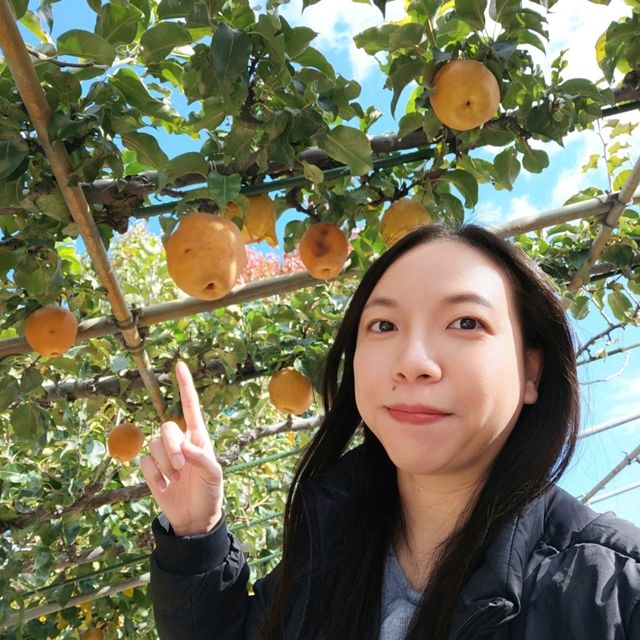 二十世紀梨紀念館