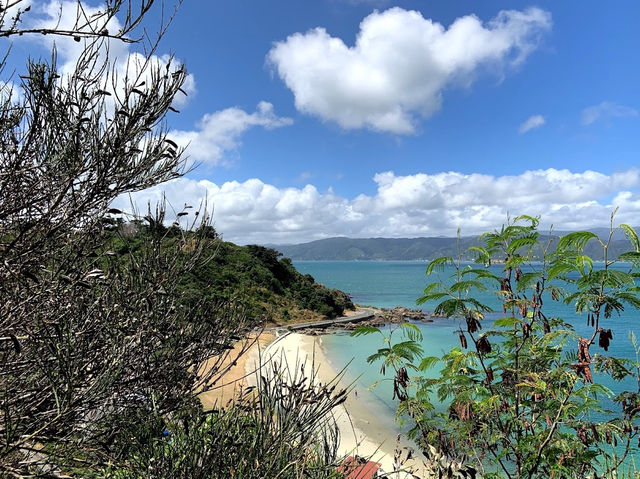Scorching Bay Beach