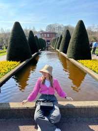 阿姆斯特丹🇳🇱 庫肯霍夫公園🌷 （Keukenhof）