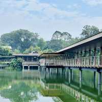 Wildlife Wonders at The Mandai Boardwalk!