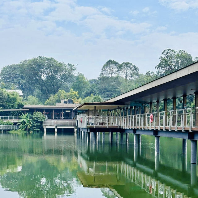 Wildlife Wonders at The Mandai Boardwalk!