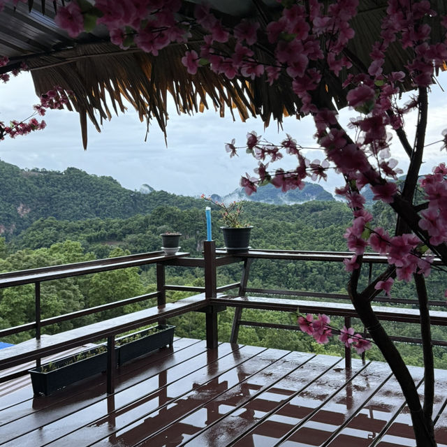 새벽에 문여는 반자보카페 
