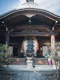 🍁 秋の柳谷観音で癒しのひとときを 🍁