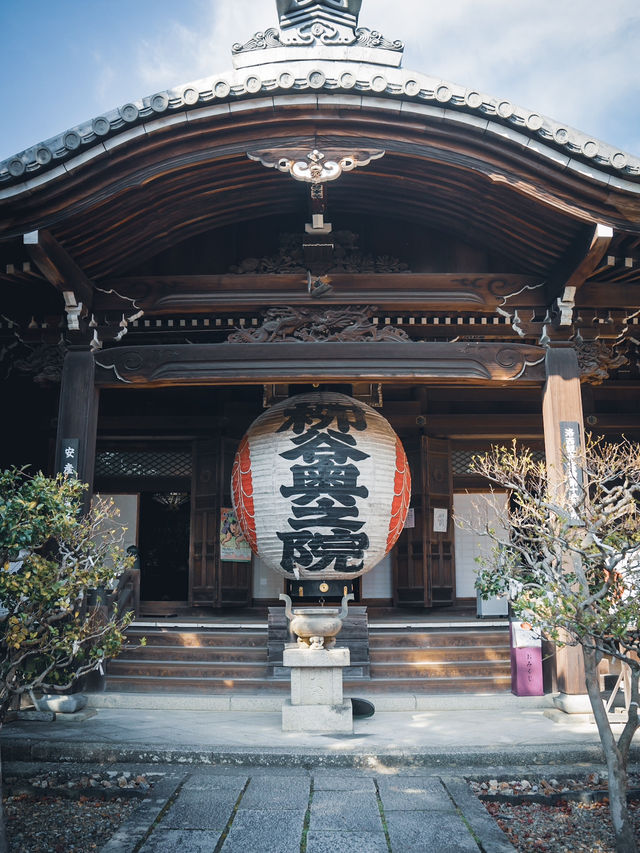 🍁 秋の柳谷観音で癒しのひとときを 🍁