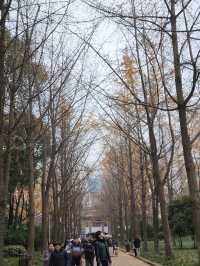 ✨Autumn in People's park✨