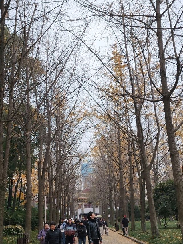 ✨Autumn in People's park✨