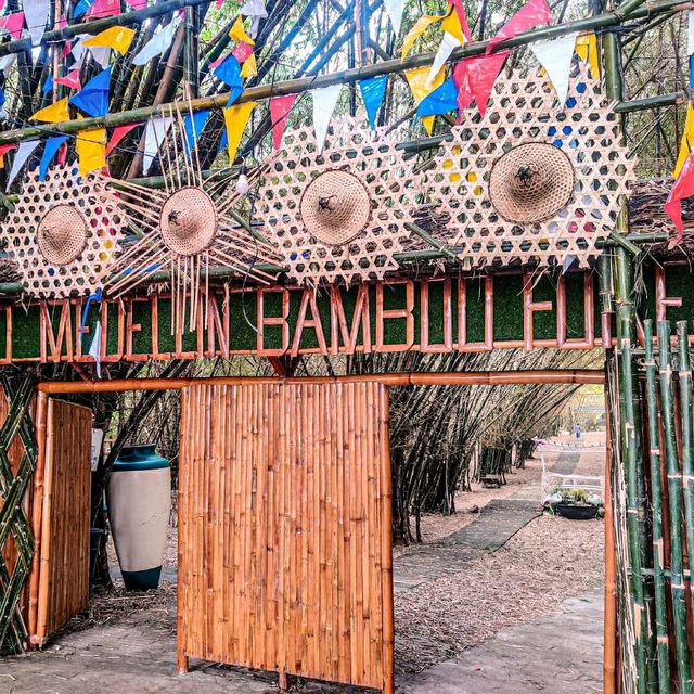 Have you ever been in this Bamboo Forest?