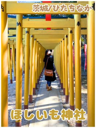 【茨城／日立那珂】想要的都能入手嗎？＊ほしいも神社＊