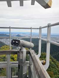 Gifu Castle