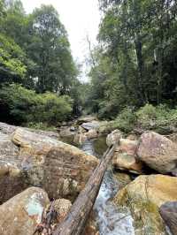 Hidden waterfalls of blue mountains